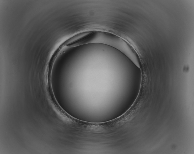 X0000094431128200711211427