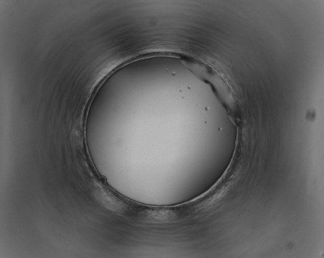 X0000094431129200711211427