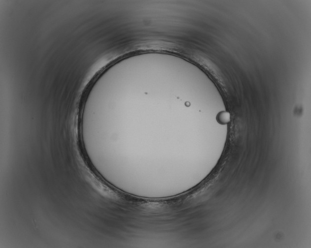 X0000094431130200711211427