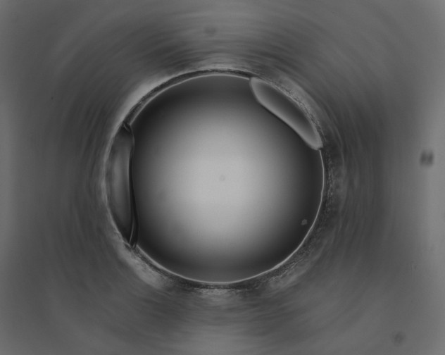X0000094431132200711211427
