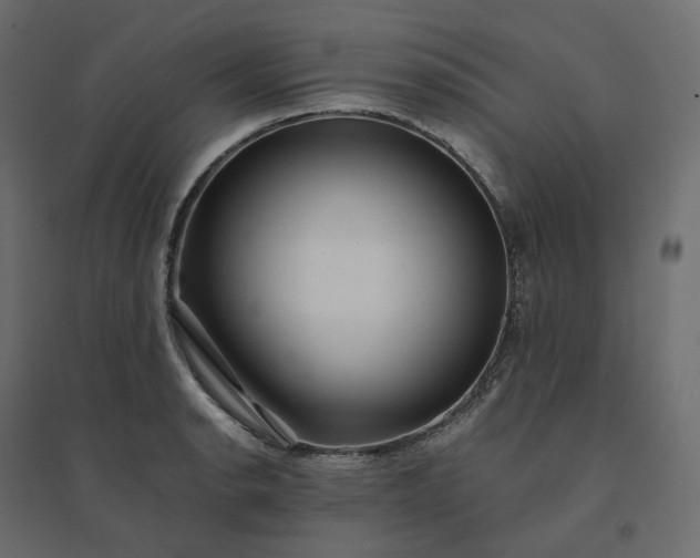X0000094431134200711211427