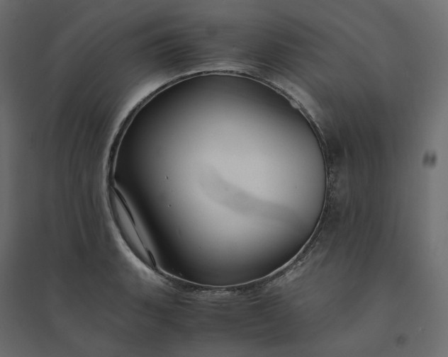 X0000094431135200711211427