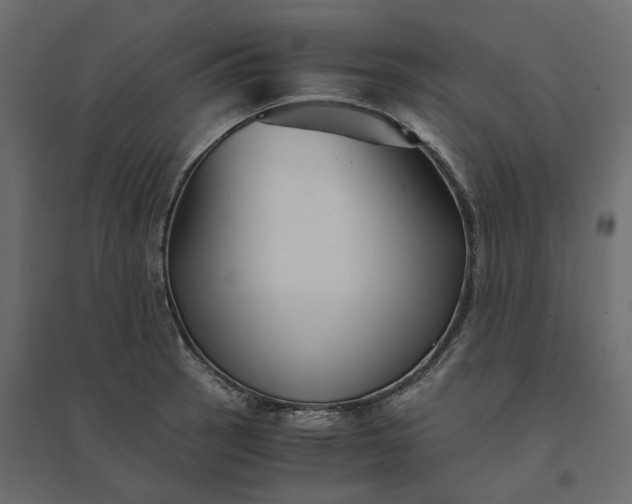 X0000094431137200711211427