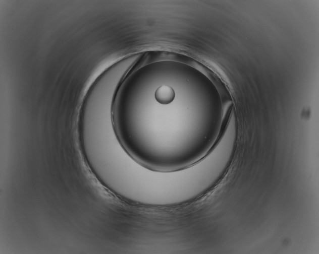 X0000094431138200711211427