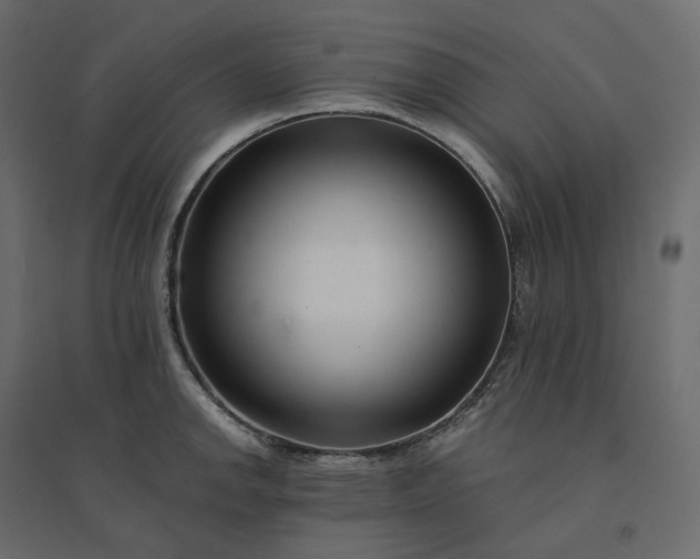 X0000094431142200711211427