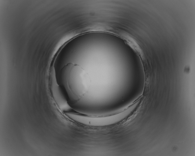 X0000094431146200711211427