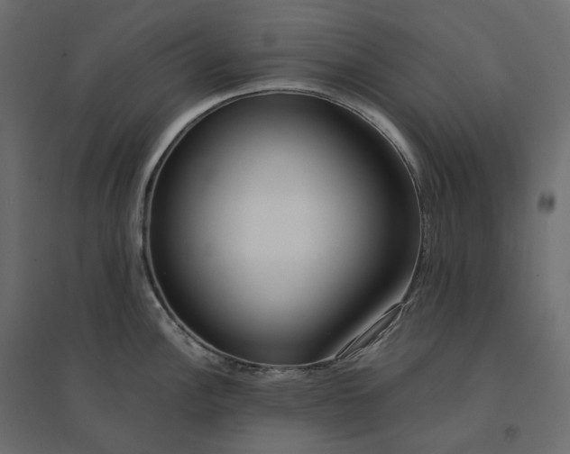 X0000094431148200711211427