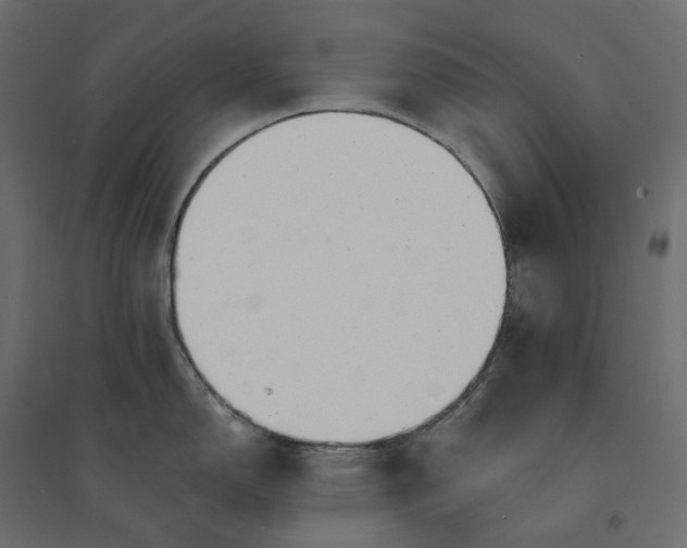 X0000094431150200711211427