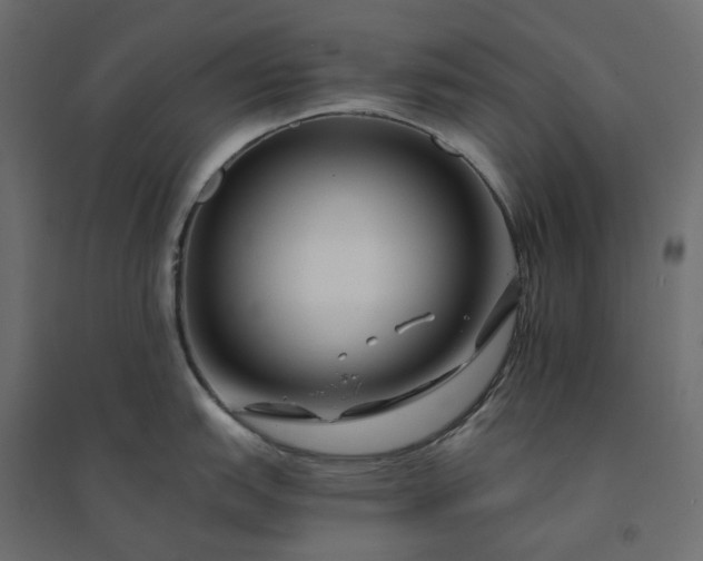 X0000094431151200711211427