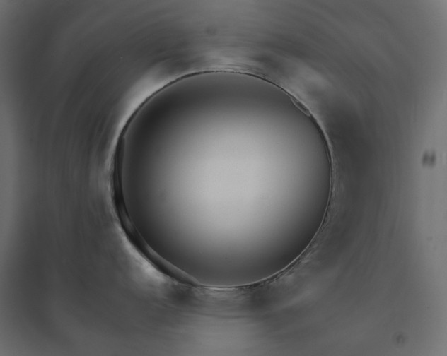X0000094431152200711211427