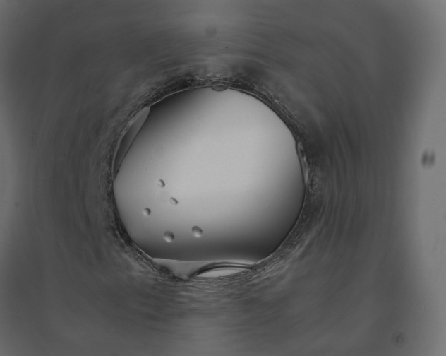 X0000094431153200711211426