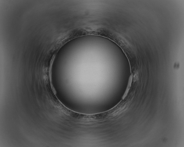 X0000094431156200711211426