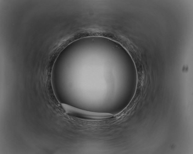 X0000094431157200711211426