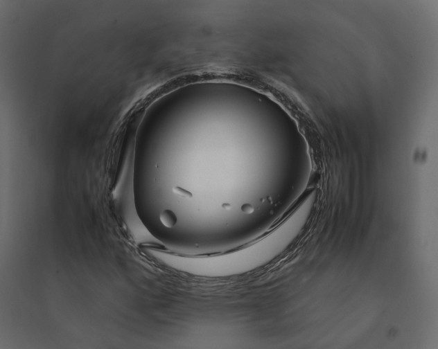 X0000094431160200711211426