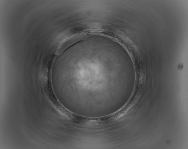 X0000094431161200711211426