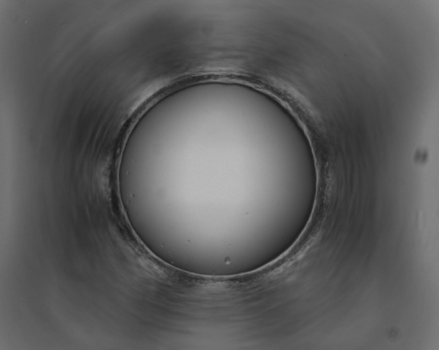 X0000094431162200711211426