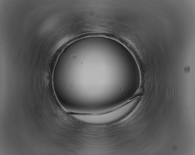 X0000094431163200711211426