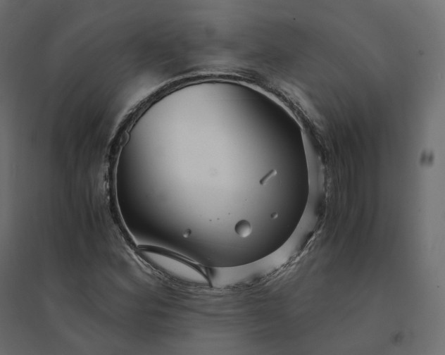 X0000094431164200711211426