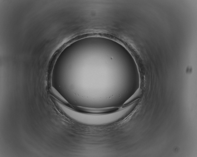 X0000094431165200711211426