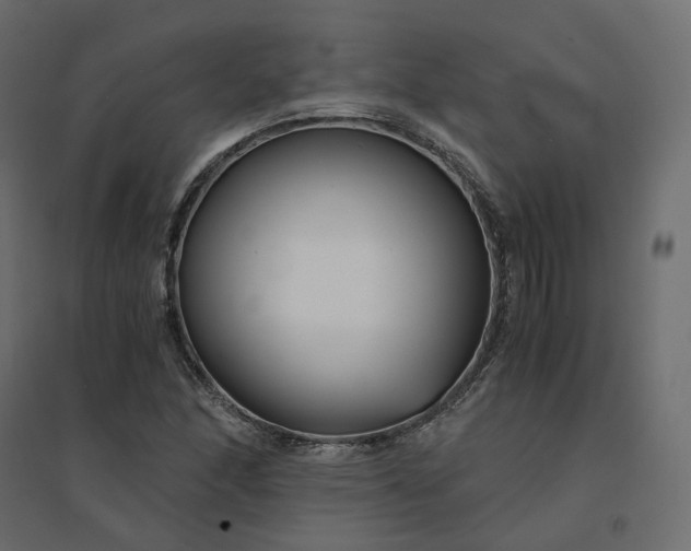 X0000094431166200711211426