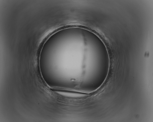 X0000094431167200711211426