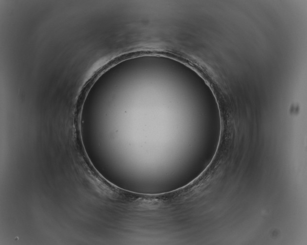 X0000094431168200711211426
