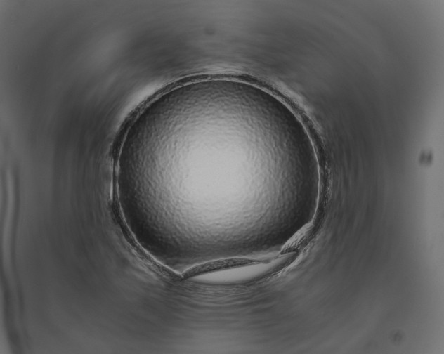 X0000094431171200711211426