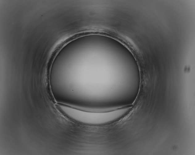 X0000094431172200711211426