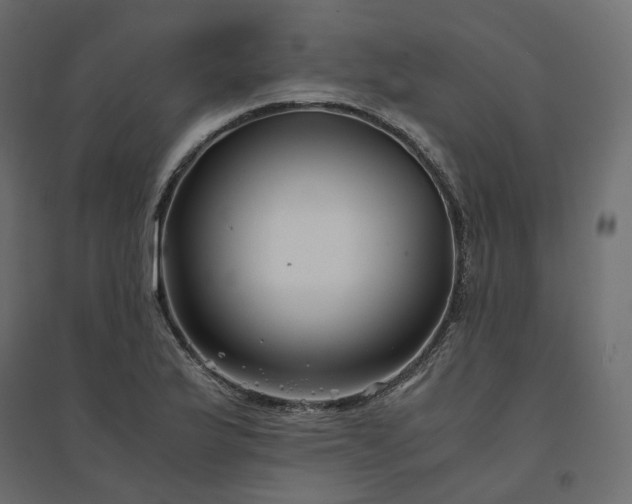X0000094431175200711211426