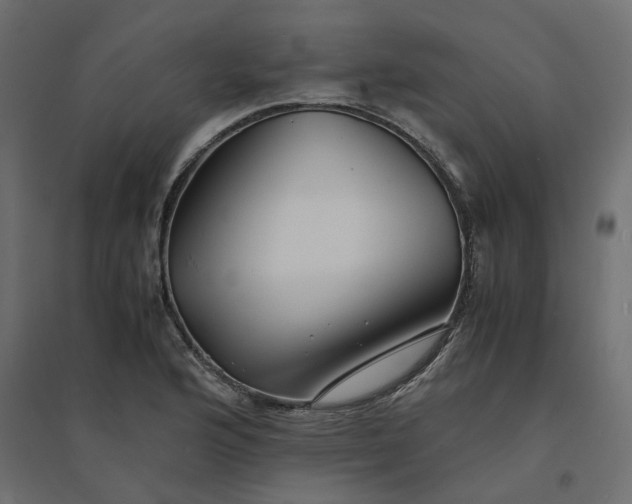 X0000094431176200711211426