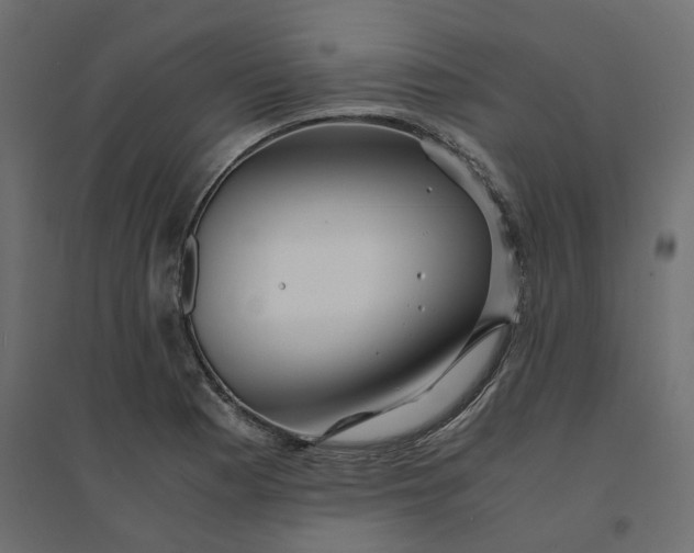 X0000094431177200711211426