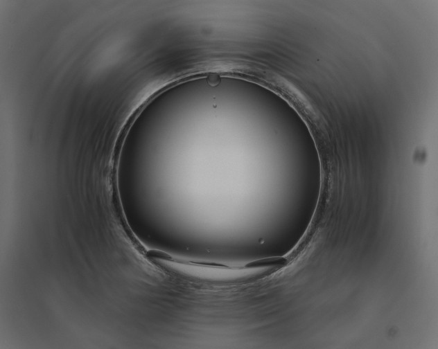 X0000094431178200711211426