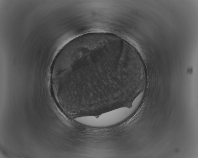 X0000094431179200711211426