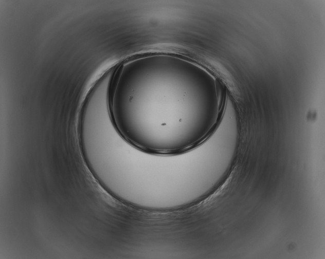 X0000094431180200711211426