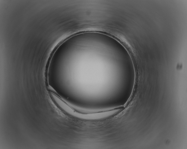 X0000094431181200711211426