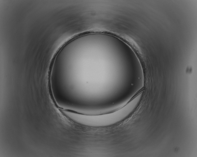 X0000094431183200711211426