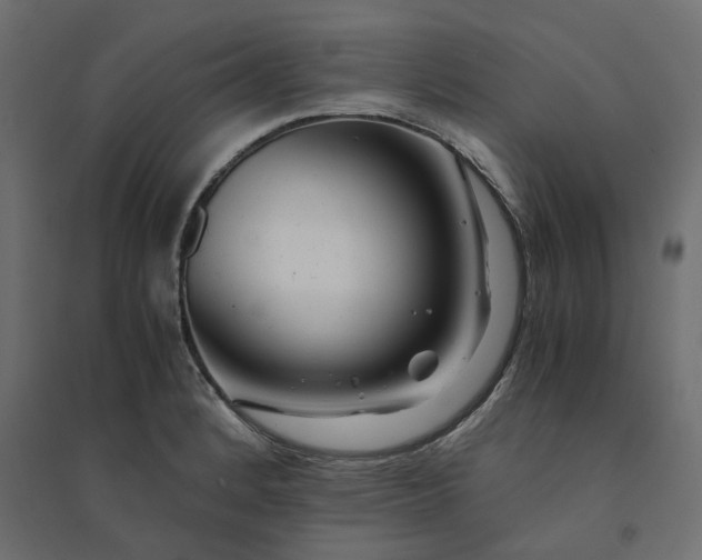 X0000094431184200711211426