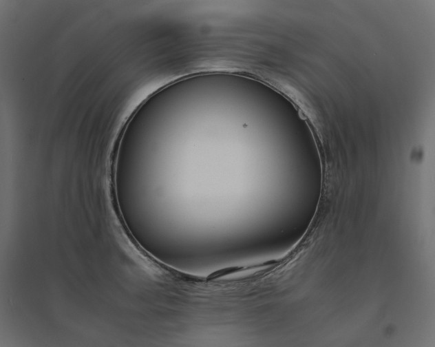 X0000094431187200711211426