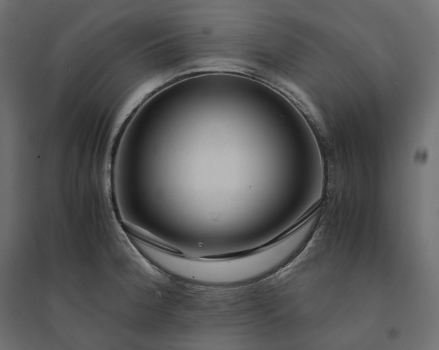 X0000094431188200711211426