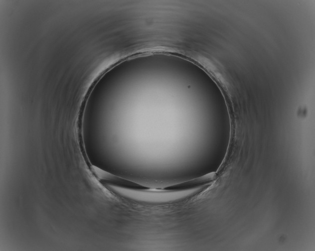 X0000094431189200711211426