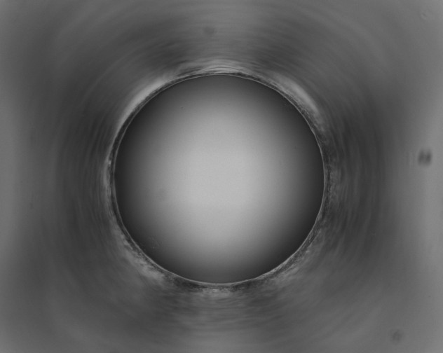 X0000094431190200711211426