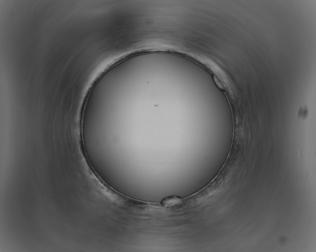 X0000094431191200711211426