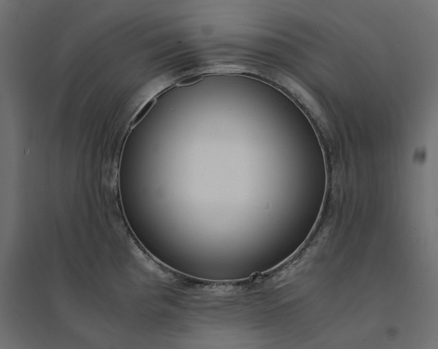 X0000094431193200711211426