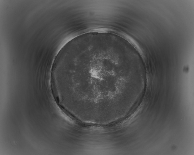 X0000094431194200711211426