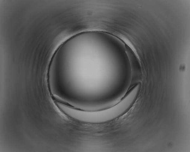 X0000094431197200711211426