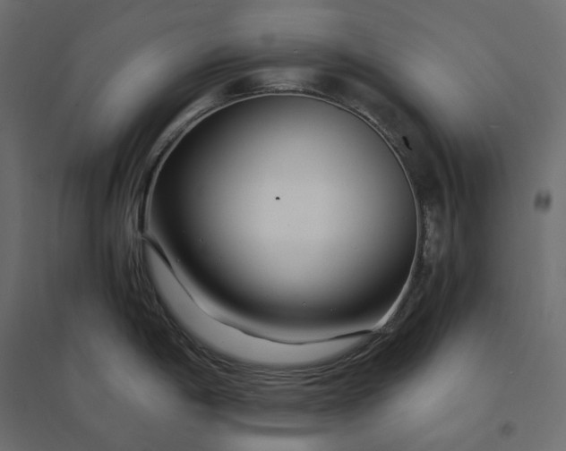 X0000094431198200711211426