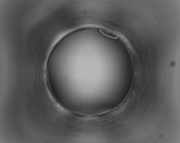 X0000094431199200711211426