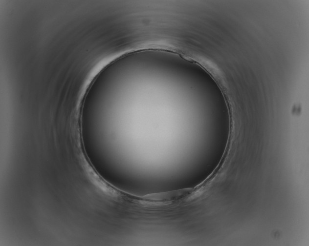 X0000094431200200711211426