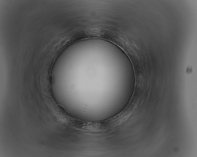 X0000094431201200711211425