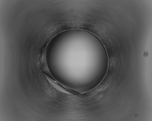 X0000094431202200711211425